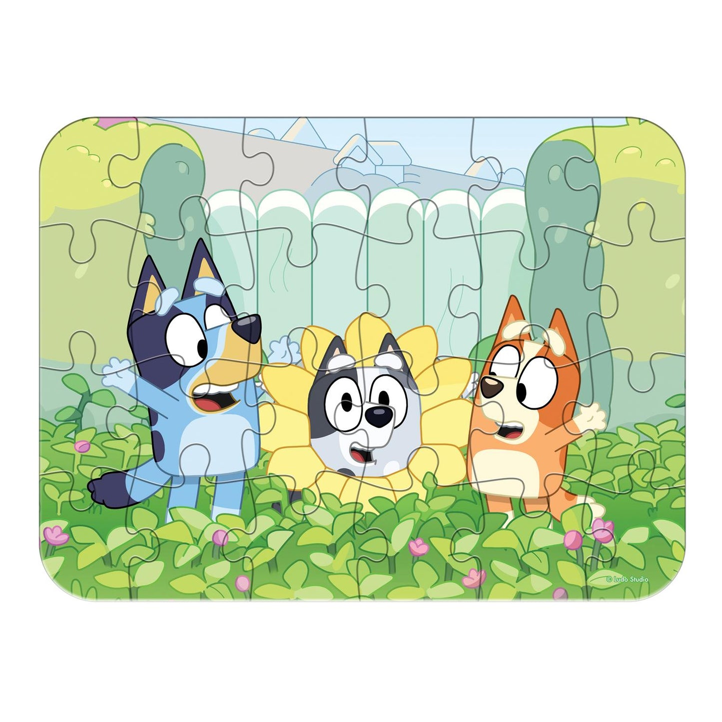 jpg_1500x1500_52298445