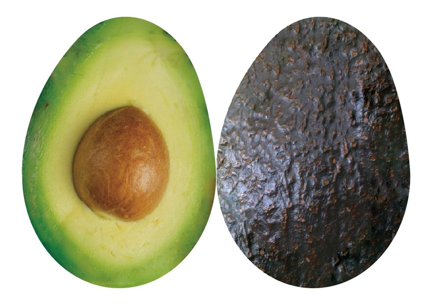 jpg_1500x1500_54205451